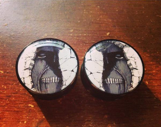 Wall Plugs/Gauges (Buy 2 Pairs, Get 1 Pair Free!)
